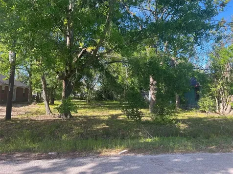 1038 Randolph Street Houston TX 77088