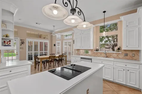 1811 Wild Plum Court Houston TX 77345