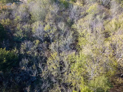 Tbd Cr 2110 Clarksville TX 75426