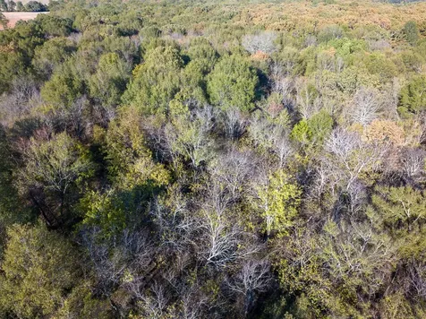 Tbd Cr 2110 Clarksville TX 75426