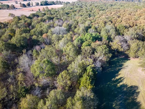 Tbd Cr 2110 Clarksville TX 75426
