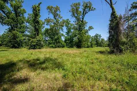 Tbd County Road 3011 Lot 5 Dayton TX 77535