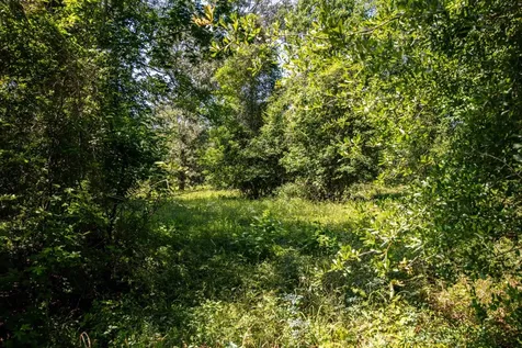 Tbd County Road 3011 Lot 5 Dayton TX 77535