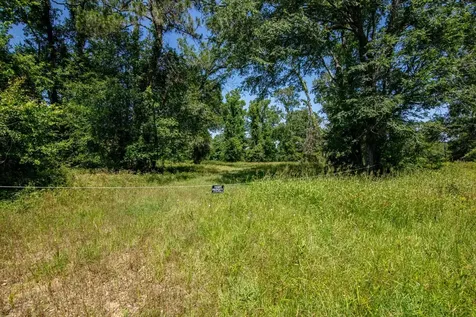 Tbd County Road 3011 Lot 5 Dayton TX 77535