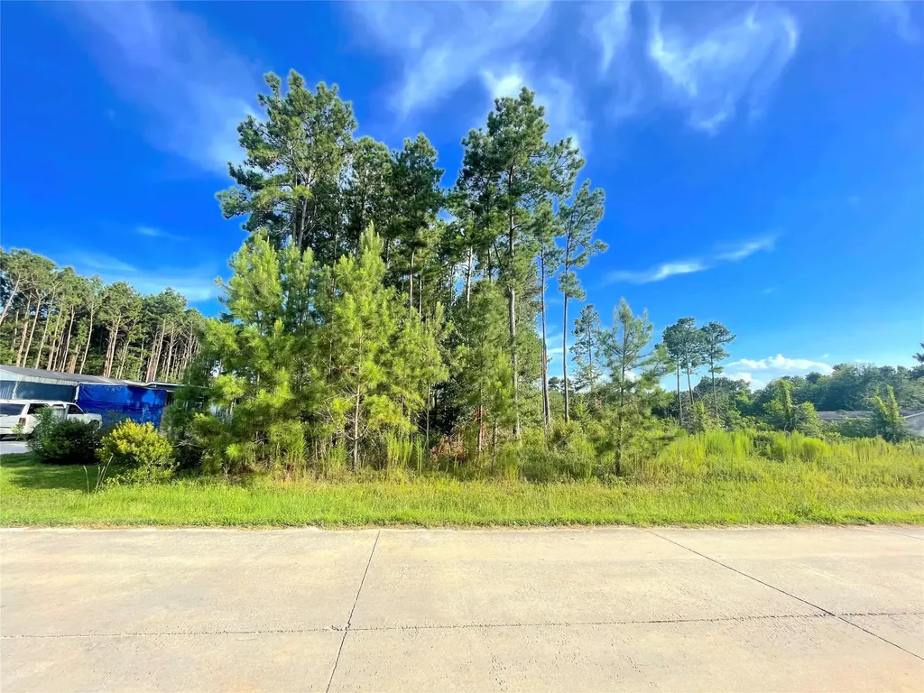 124 County Road 3546 Cleveland TX 77327