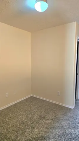 12415 Narcissus View Trail Houston TX 77089