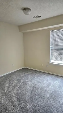 12415 Narcissus View Trail Houston TX 77089