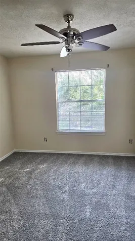 12415 Narcissus View Trail Houston TX 77089