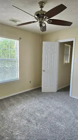 12415 Narcissus View Trail Houston TX 77089