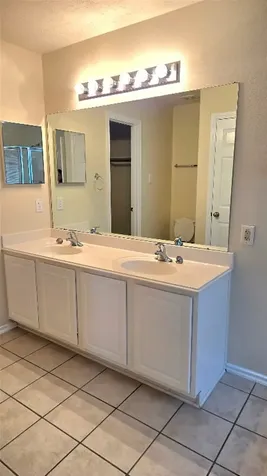 12415 Narcissus View Trail Houston TX 77089