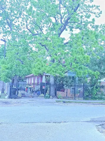 1006 Panama Street Houston TX 77009