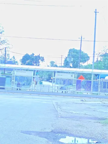 1006 Panama Street Houston TX 77009