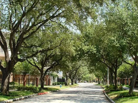 4041 Law Street 606 Houston TX 77005
