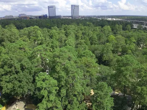 2 Rolling Mill Lane The Woodlands TX 77380