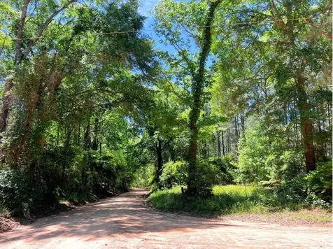 0 Morris Lane Livingston TX 77351