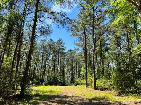 0 Morris Lane Livingston TX 77351