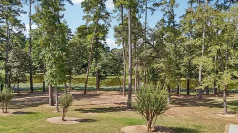 15450 Shady Oaks Drive Stagecoach TX 77355
