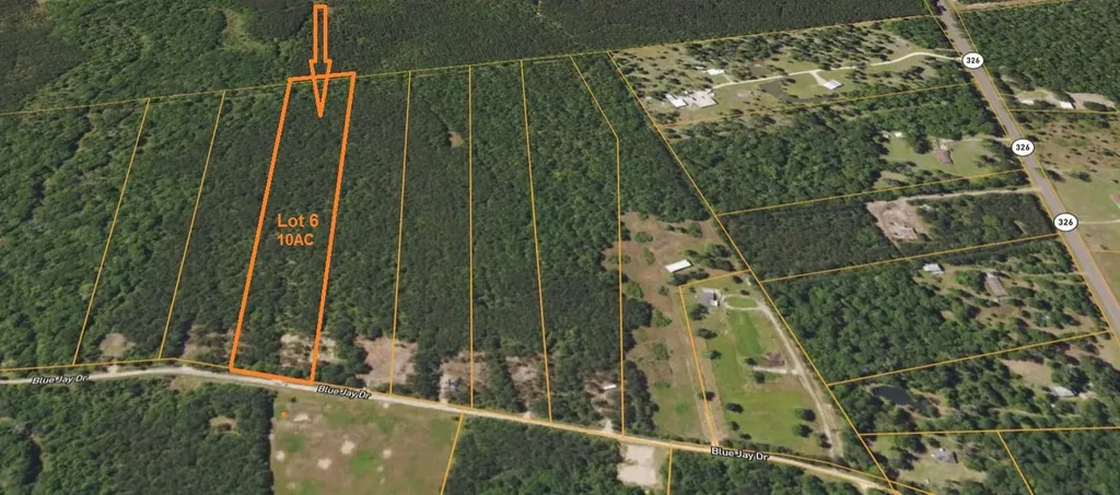 Lot 6 Blue Jay Drive Kountze TX 77625