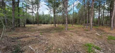 Lot 6 Blue Jay Drive Kountze TX 77625