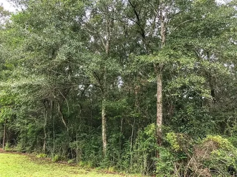 Lot 6 Blue Jay Drive Kountze TX 77625