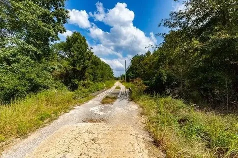 Lot 6 Blue Jay Drive Kountze TX 77625