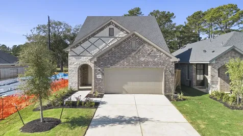21443 Gazania Daisy Lane Tomball TX 77377