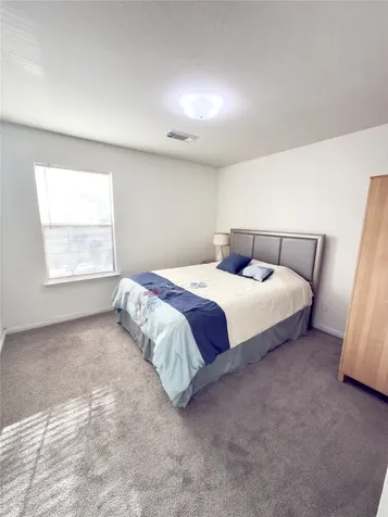 15106 Blue Creek Ranch Drive Houston TX 77086