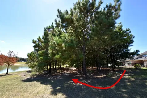 5615 Caspian Falls Lane Fulshear TX 77441