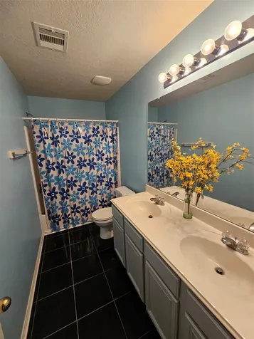 9011 Mercury Cove Court Houston TX 77075