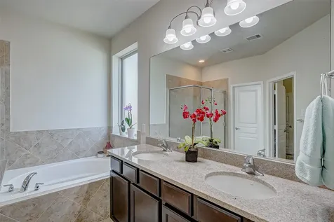 28730 Mayes Bluff Drive Katy TX 77494