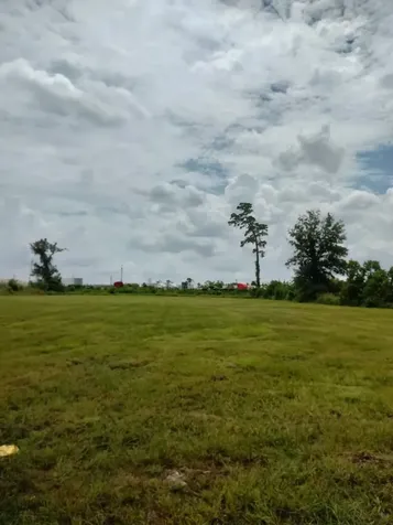 6137 Fitzhugh Houston TX 77028