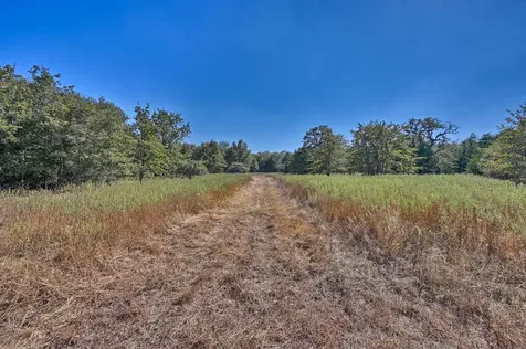 Tbd Ullrich Road Carmine TX 78932