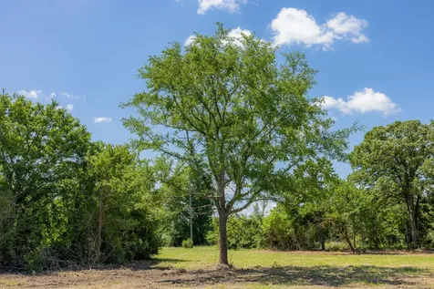6512 Atakapan Trail Bedias TX 77831