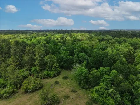 Tbd Fm 1791 Road Richards TX 77873