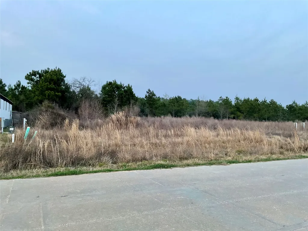 1021 Road 5804 Cleveland TX 77327