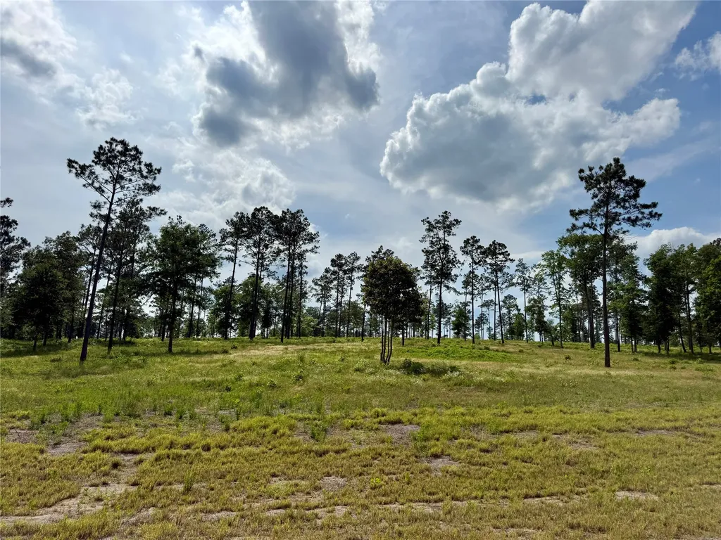 Lot 74 Western Road Livingston TX 77351