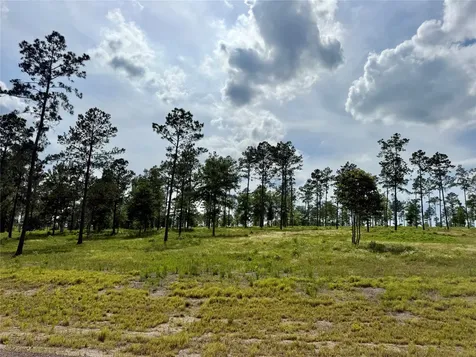 Lot 74 Western Road Livingston TX 77351