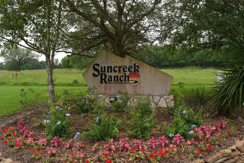 2934 Horse Trail Drive Rosharon TX 77583