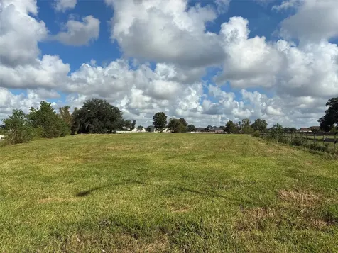 2934 Horse Trail Drive Rosharon TX 77583