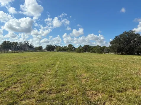 2934 Horse Trail Drive Rosharon TX 77583