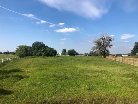 2934 Horse Trail Drive Rosharon TX 77583