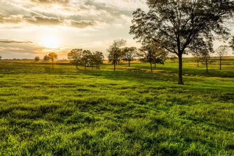 Tbd Sunny Meadow Lot 21 Drive Chappell Hill TX 77426