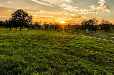 Tbd Sunny Meadow Lot 21 Drive Chappell Hill TX 77426