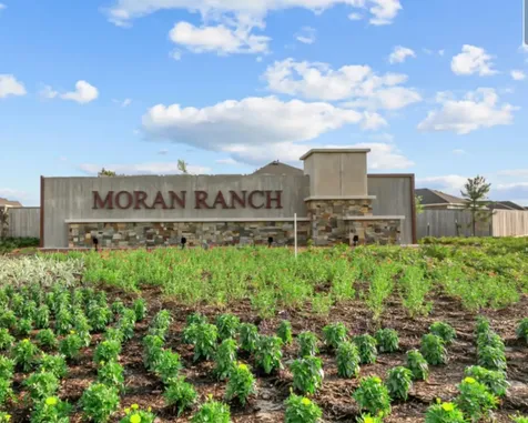 221 Crystal Bay Lane Willis TX 77378