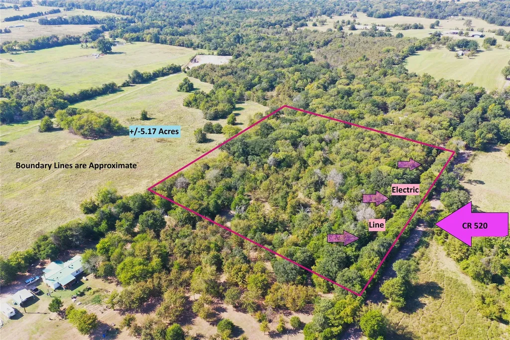 Tbd County Road 520 Fairfield TX 75840