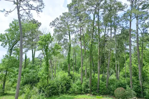 0 Roanoke Drive Conroe TX 77302