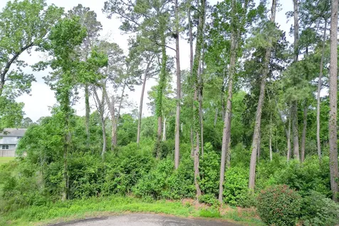 0 Roanoke Drive Conroe TX 77302