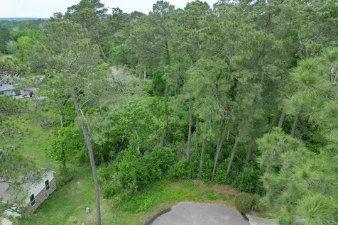 0 Roanoke Drive Conroe TX 77302
