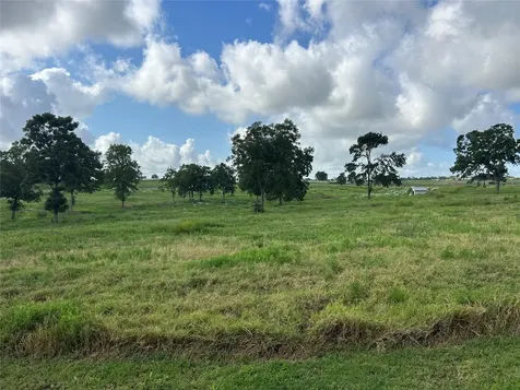 10549 Sunny Meadow Drive Chappell Hill TX 77426