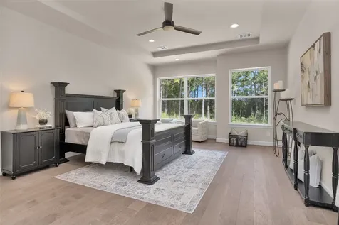 8604 Trinity Pines Court Montgomery TX 77316